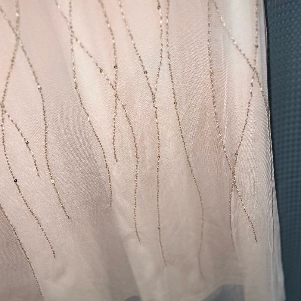 Adrianna Papell Blush Pink Gown - Picture 13 of 15